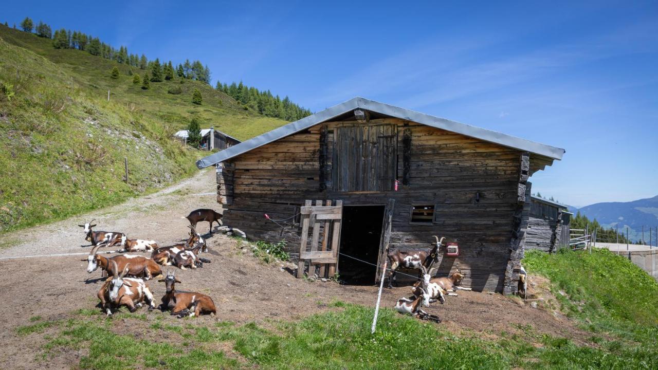 H19 - Modernes 145qm, 3sz, Wellnessbereich Mit Sauna Und Dachterrasse Mit Panoramablick, Kuehlen Und Heizen Mit Geothermie Hébergement de vacances